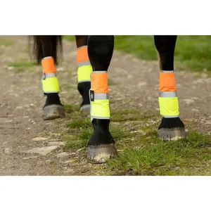 Equisafety Leg Boots Yellow/Orange