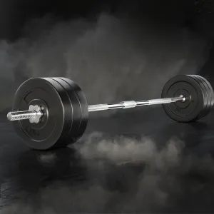 Everfit 68kg Barbell Set Weight Plates Bar Lifting Bench 168cm